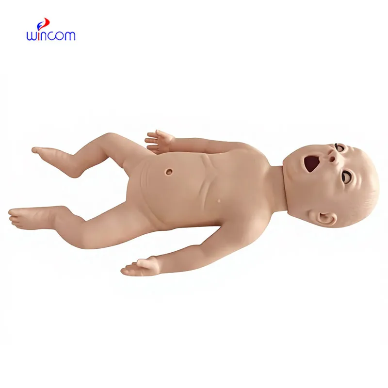 Applications of  birds bathing in water